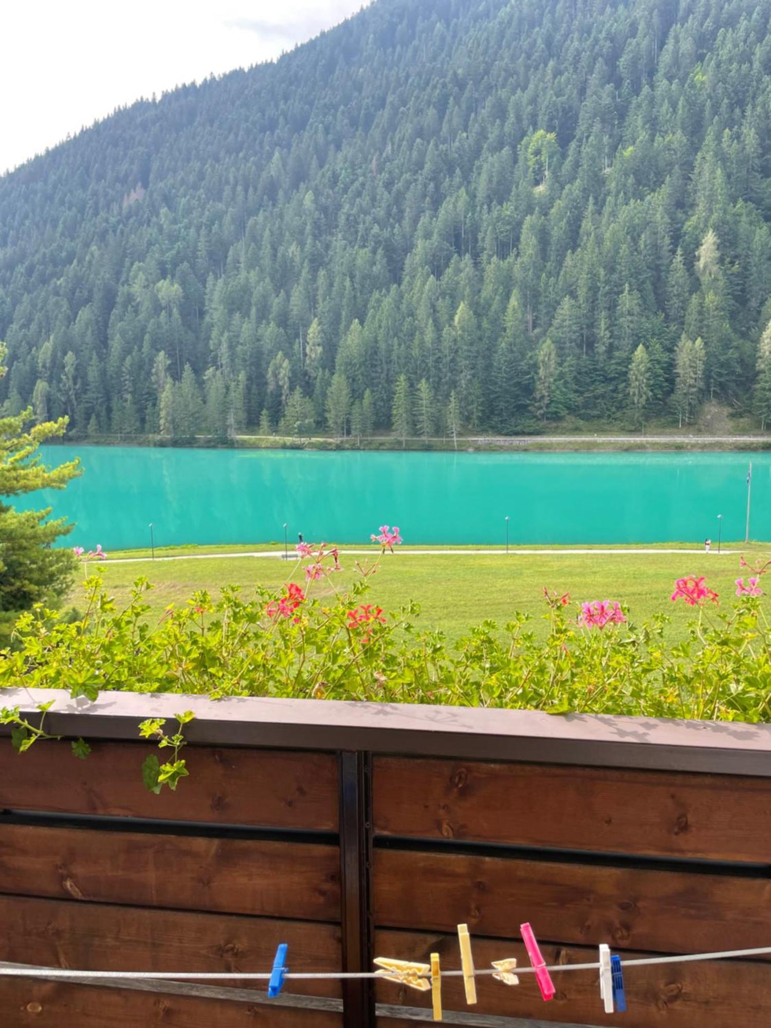 Hotel Panoramic Auronzo di Cadore Extérieur photo